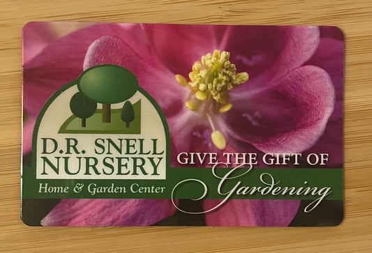 Dr. Snell Nursery Gift Card